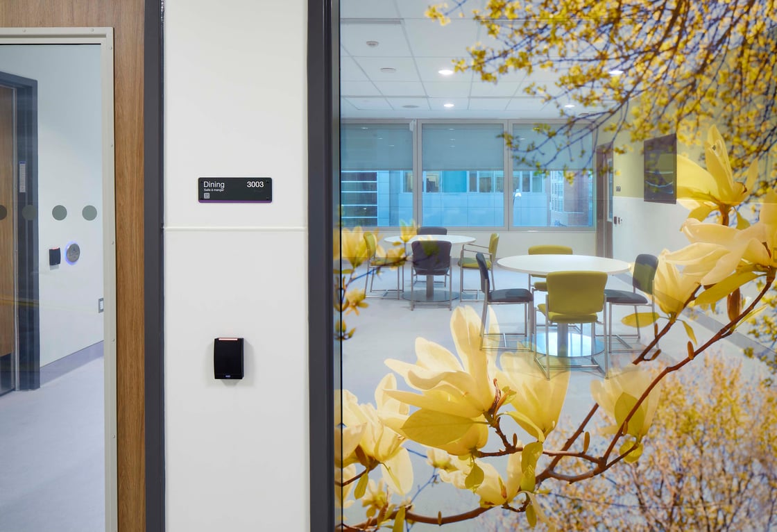 CAMH nov2020 (066)