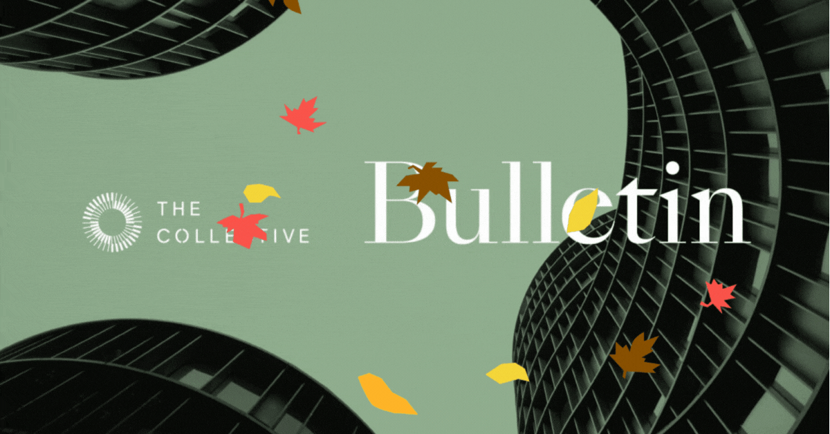 The Collective Newsletter Bulletin (1)